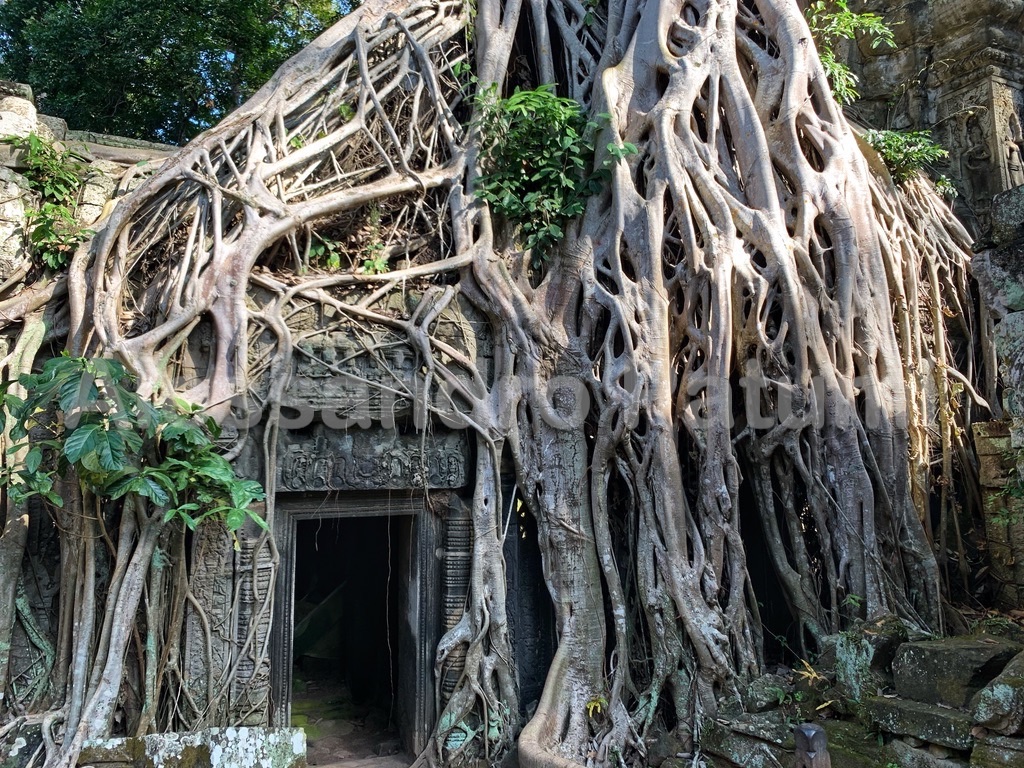 Temples in Cambodia