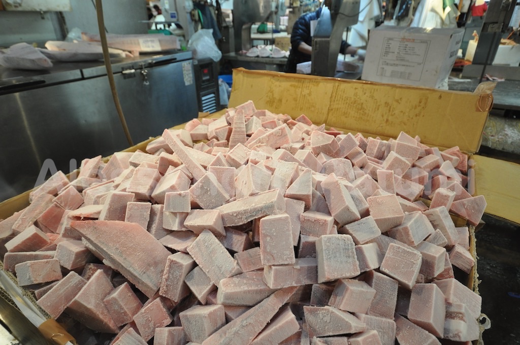 Deep frozen tuna, Fish market in Tokyo, Japan