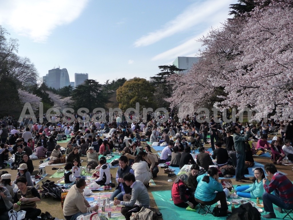 Crowdy park in Tokyo, Anami, Japan