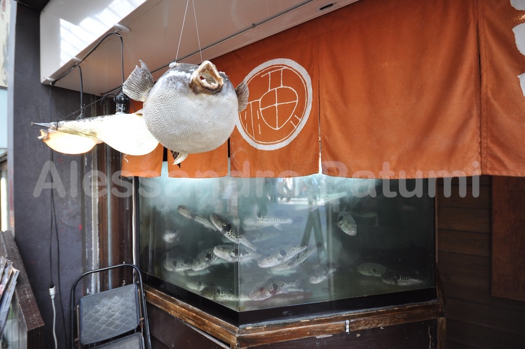 Ball fish, restaurant in Japan