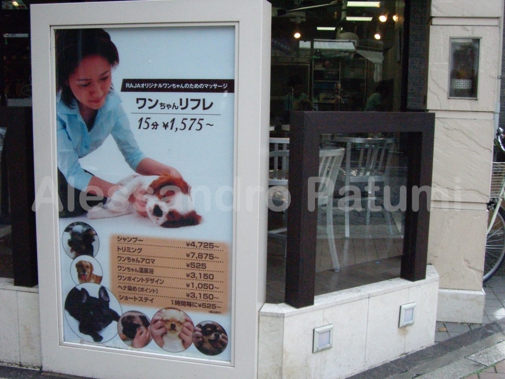 Pet hugging, Japan
