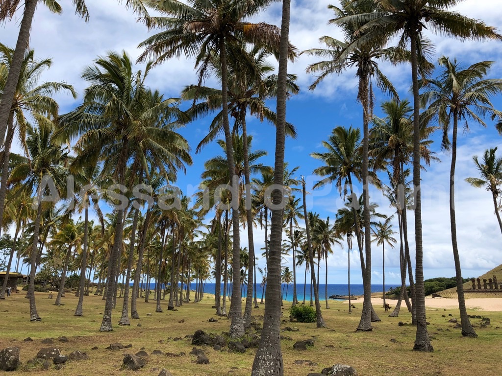 Easter Island