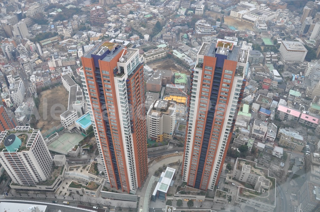 From Tokyo Tower